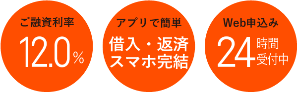 ご融資利率 年12.0%、安心サービス「自動貸越」利用可能、Web申込み24時間受付中