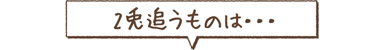 2兎追うものは・・・