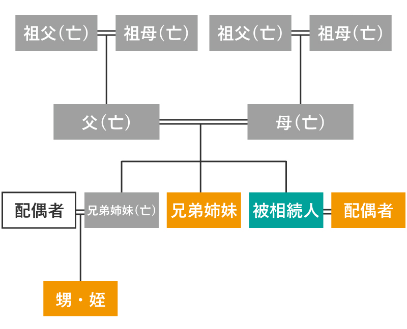 配偶者と兄弟姉妹、甥・姪が相続人の場合